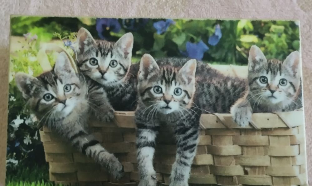 Kotki - prezent - drewniana jj