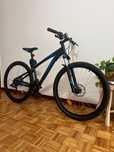 Bicicleta Passeio