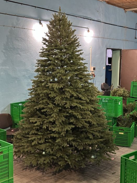 Приймаю оптові замовлення на ялинки. Штучні ялинки від виробника. Тіль