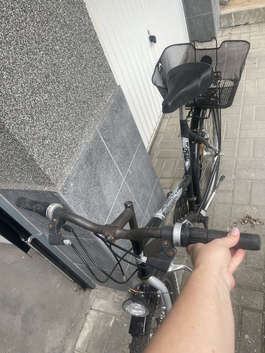 Rower Cordoba MD5 26’