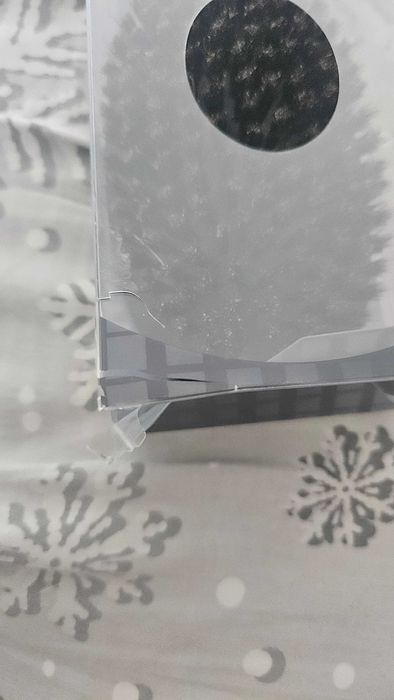 Szczotka do włosów pneumatyczna z włosiem dzika Termica Shine
