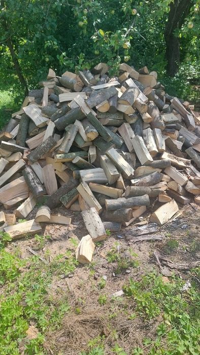 Дрова рубані твердих порід