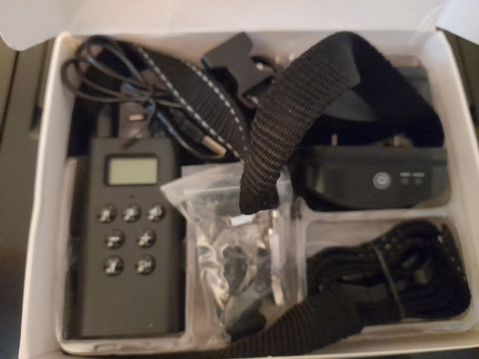 Trela de treinamento