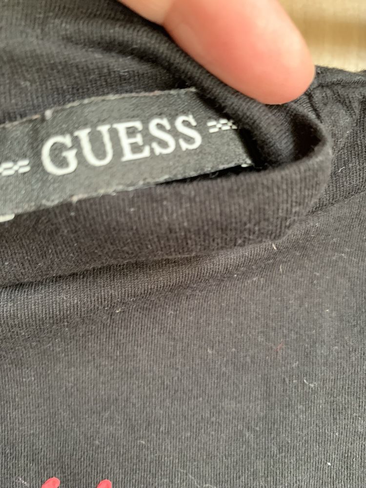 Guess, Calvin Klein