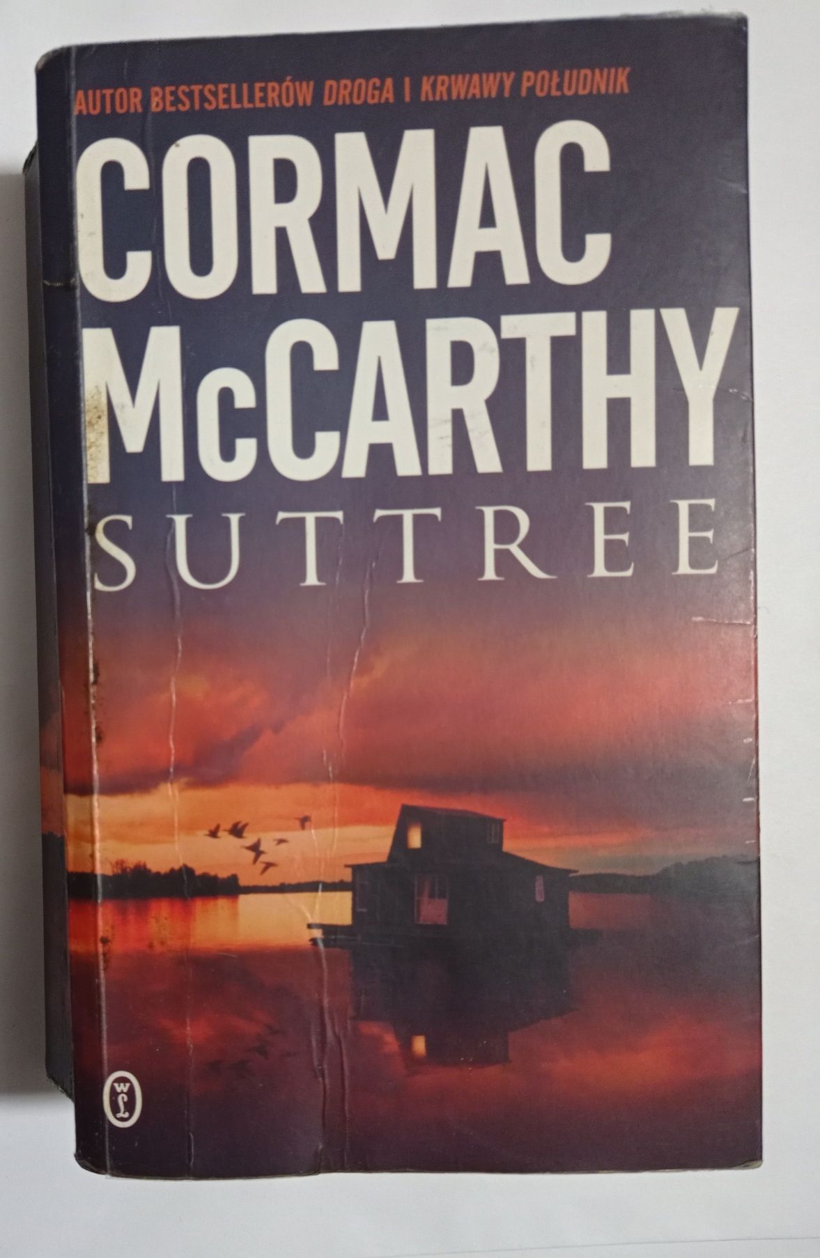 Suttree cormac mccarthy Y449