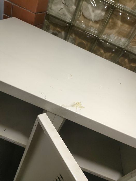 Szafka pracownicza BHP szpind podwójna jak nowa gastronomia