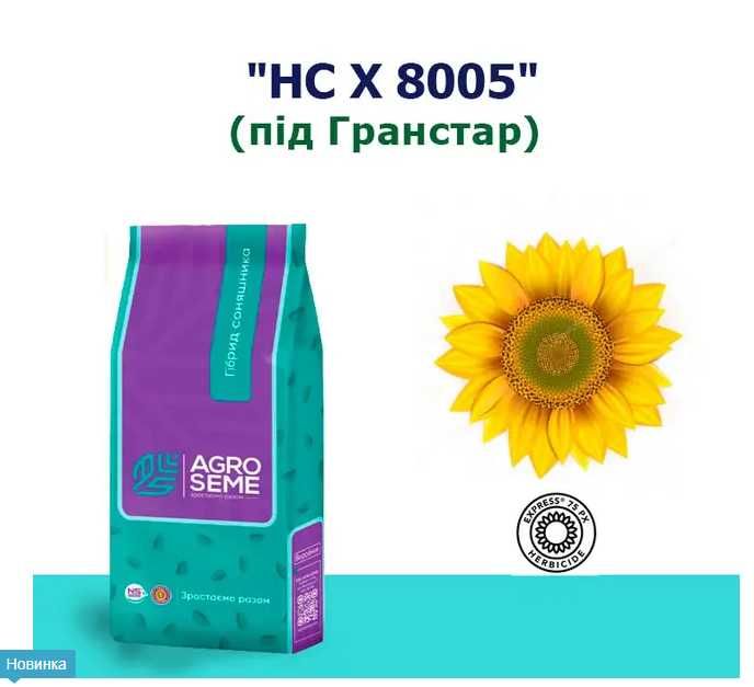 Соняшник НСХ 8005 від виробника AGRO SEME