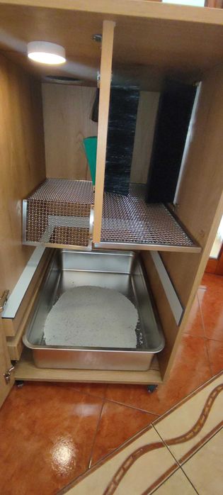 Ukryta duża kuweta dla kota Maine Coon – toaletka, meble dla kota