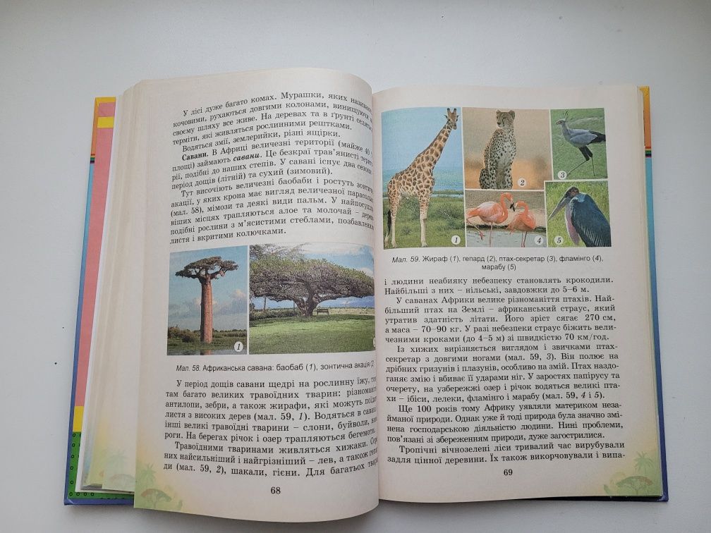 Підручник природознавство 4 клас Т.Г. Гільберг, Т.В. Сак