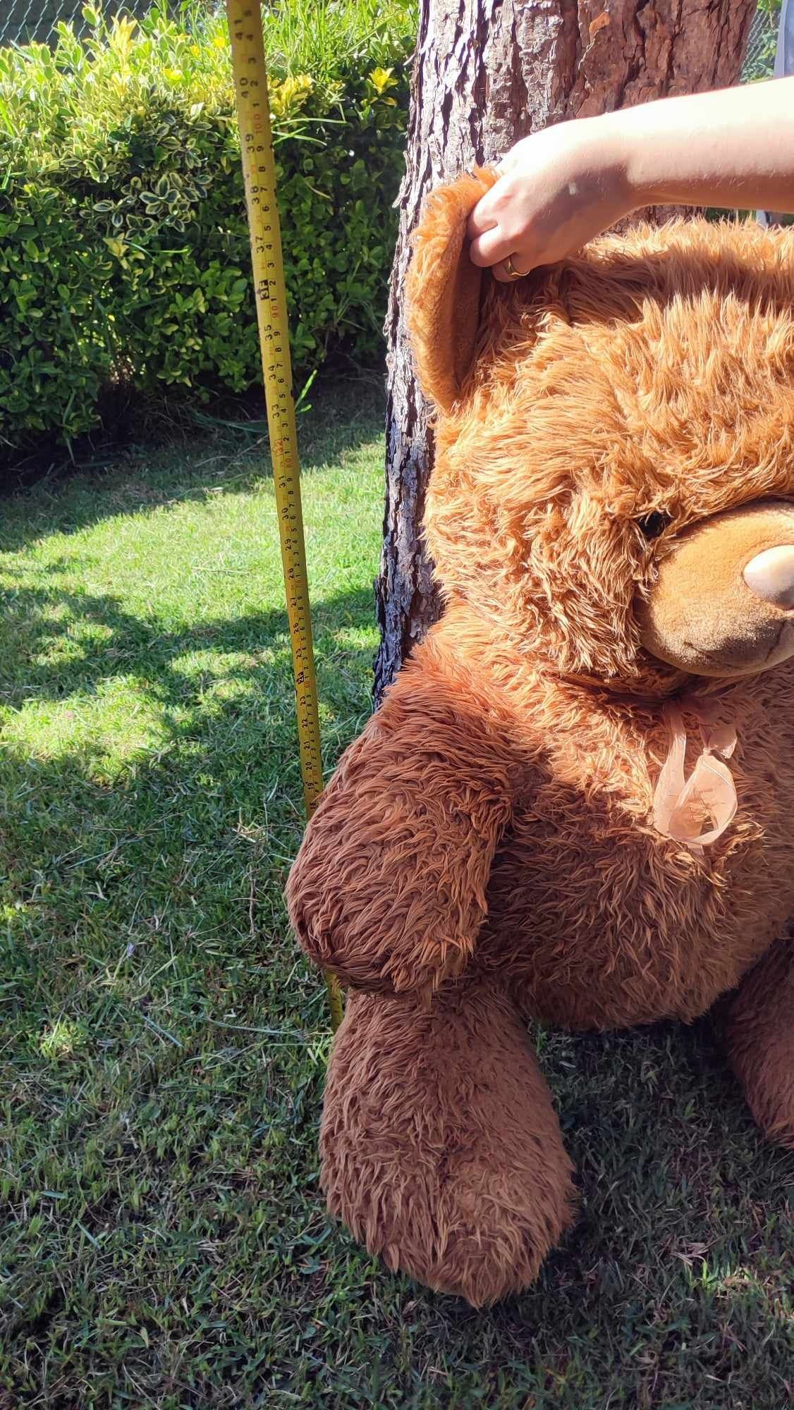 Urso de peluche gigange castanho para decoração