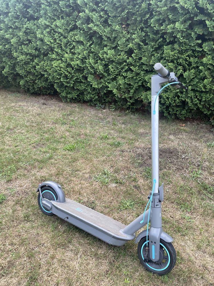 Hulajnoga elektryczna motus scotty 10 2022