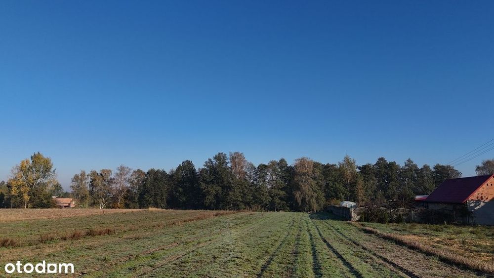 Sprzedaż działki  – cicha okolica 16 km od Kalisza