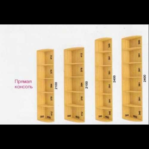 Компактна Шафа-Купе (Шкаф-Купе) Феникс 1000*450*2100 мм! Інші Розміри!