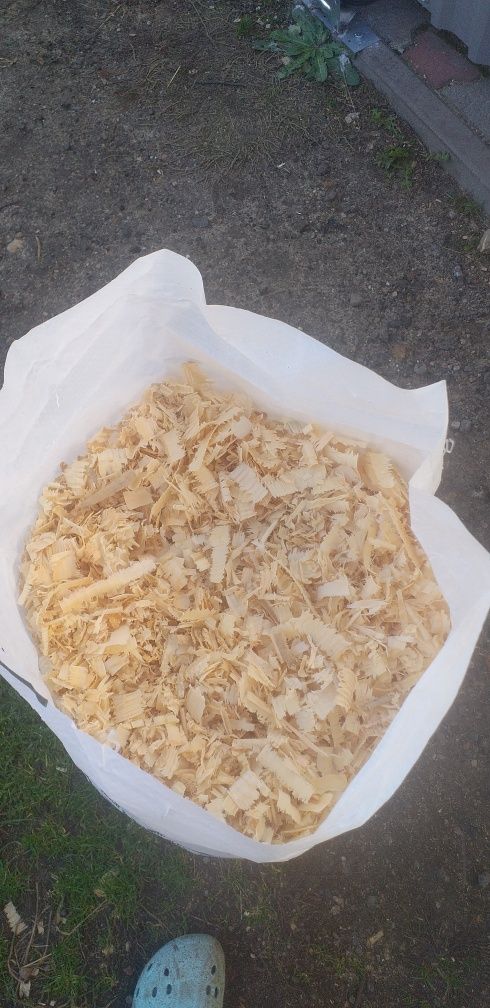 Sprzedam suche trociny świerk sosna