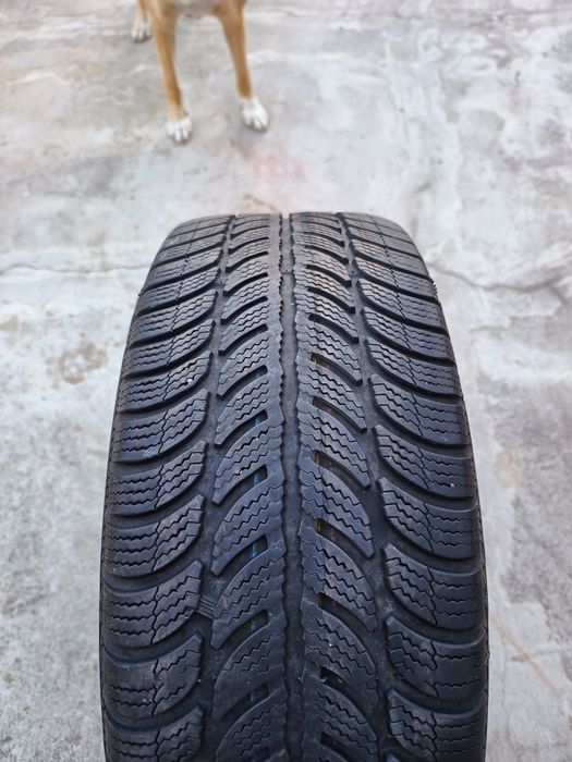 Opona zimowa Dębica Frigo 2 205/55R16 91T