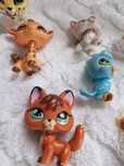 Little Pet zestaw  15 figurek