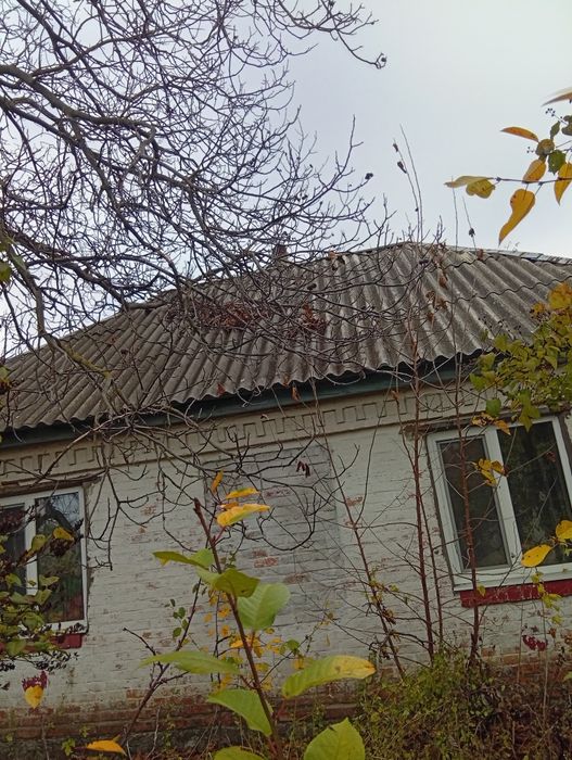 Продам будинок в селі Подорожнє