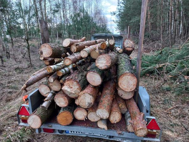 Drewno opałowe sosna 200  zł metr Jartypory