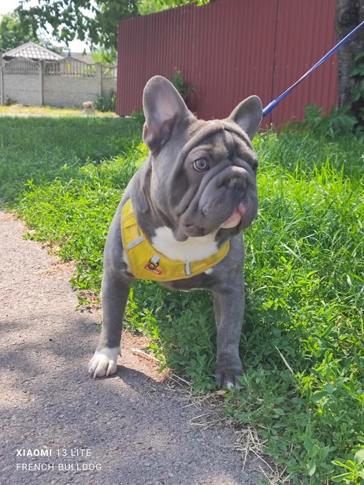 Хлопчик блакитний Биг Роп флаффі.