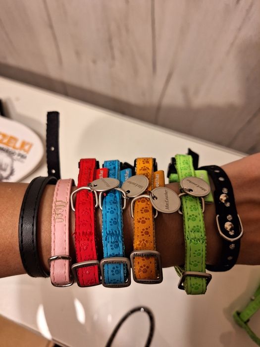 Obroża dla małego pieska