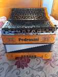Concertina Pedrosini
