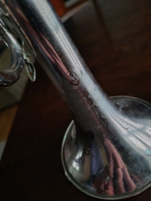 Труба музична біла