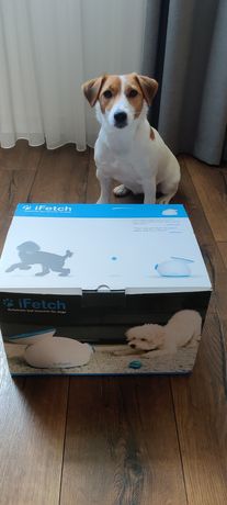 iFetch - іграшка для Собак