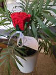 Flores em Crochet
