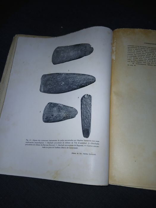 Livro de Martins Sarmento