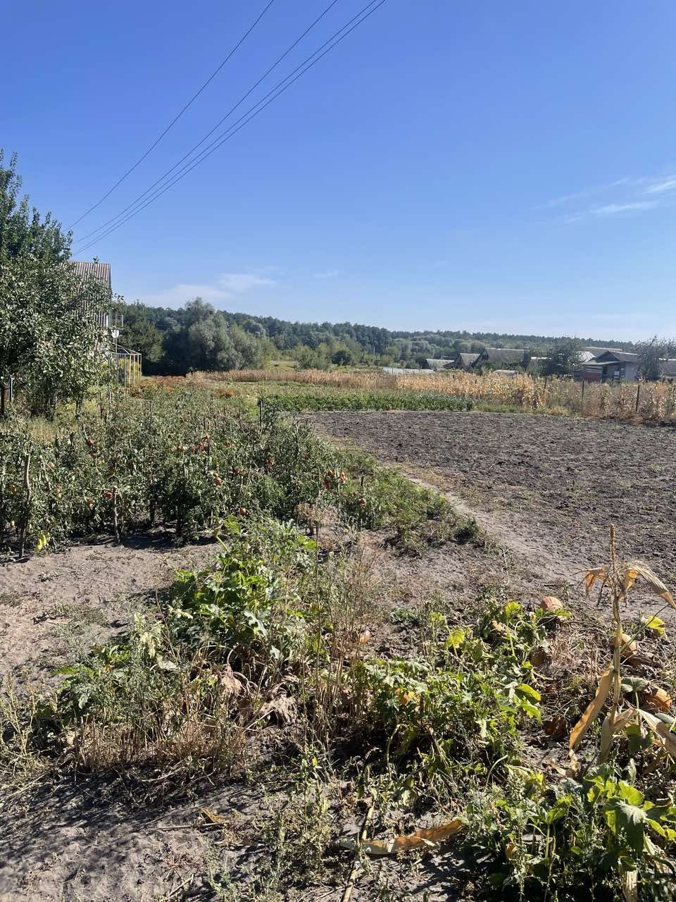 Продам будинок Нижне Піщан. Ціна договірнае Торг