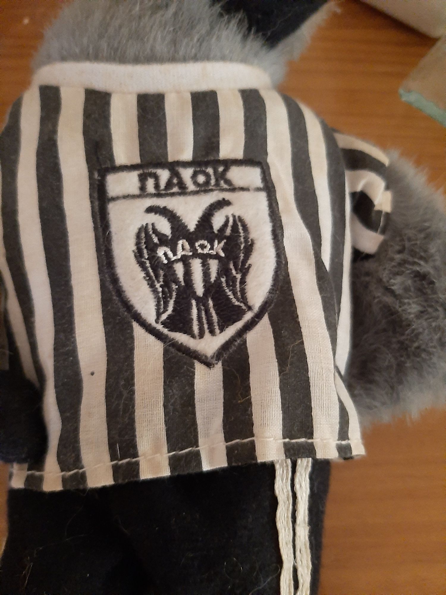 Mascote Paok-Águia canta o hino do clube grego