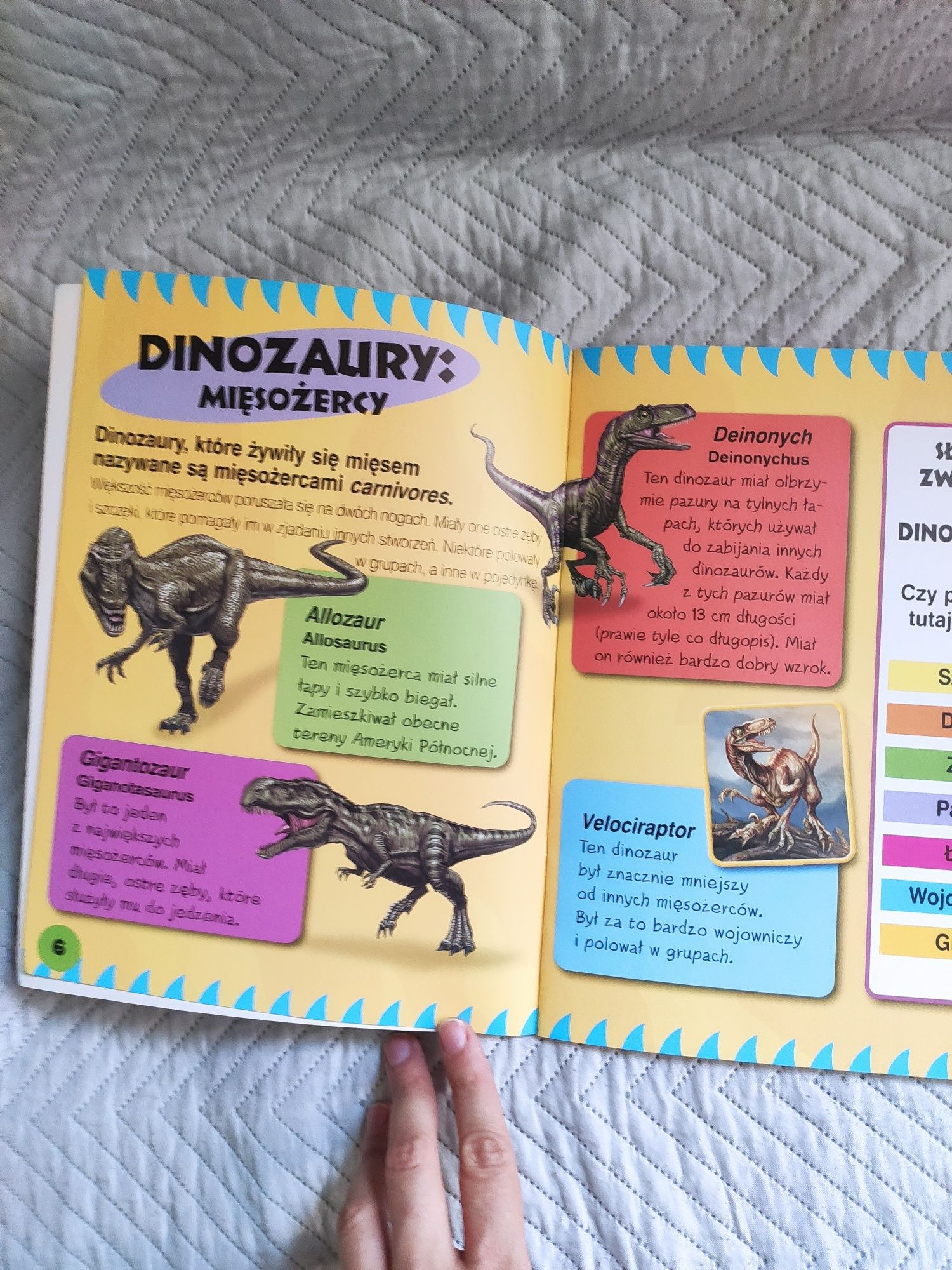 Dinozaury książka z zadaniami dla przedszkolaków