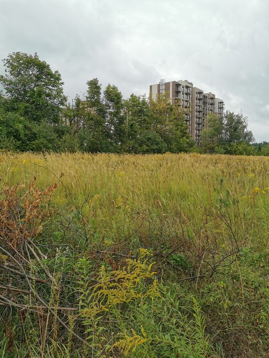 участок, 10 соток у парка , ул Академика Лебедева/Метрологическая