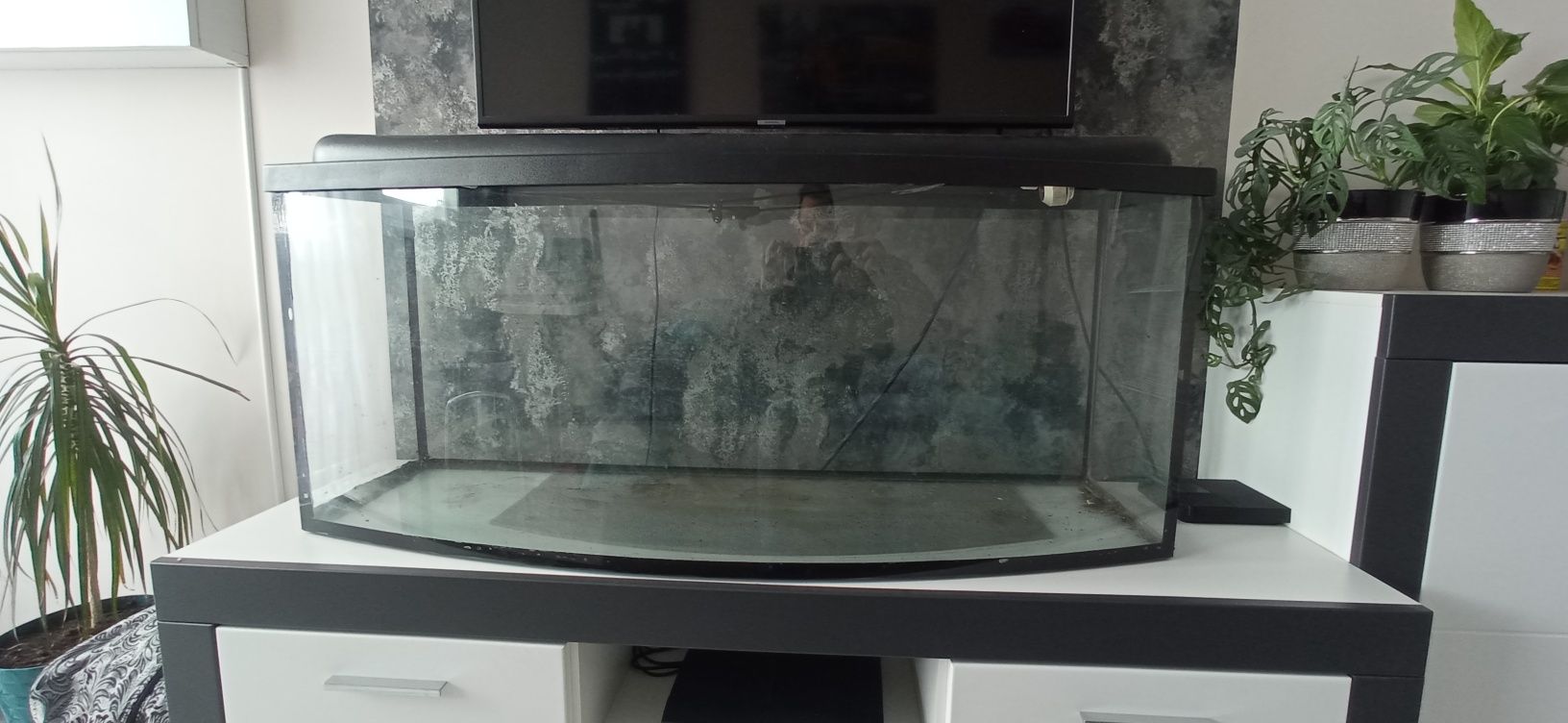 Akwarium panoramiczne 240 l
