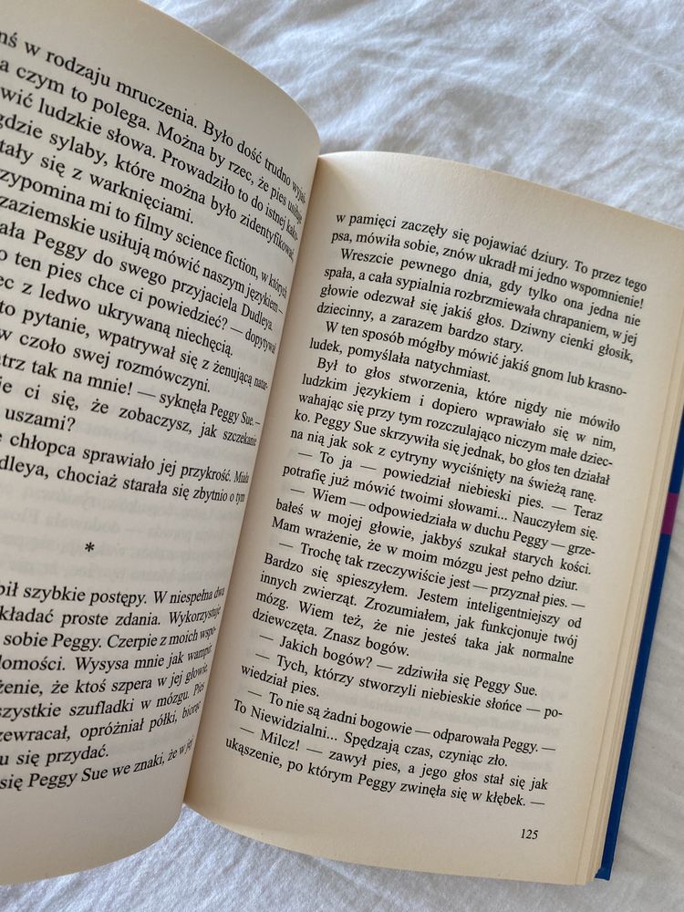 Książka dla nastolatków „Peggy Sue i duchy. Dzień niebieskiego psa”
