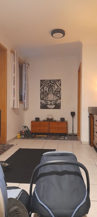 Alcofa e um ovo para bébé