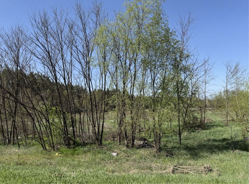 Продам фасадну земельну ділянку 3,3 Га!