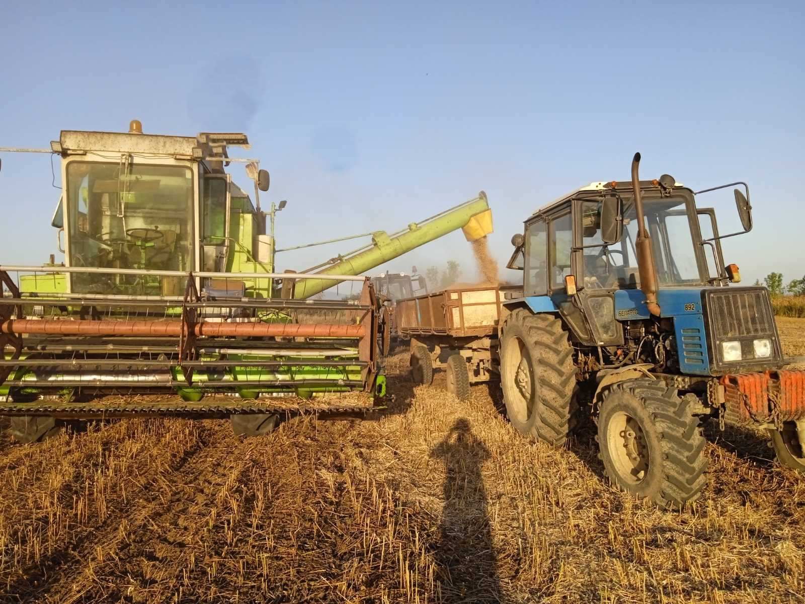 Продається Class Dominator 105
