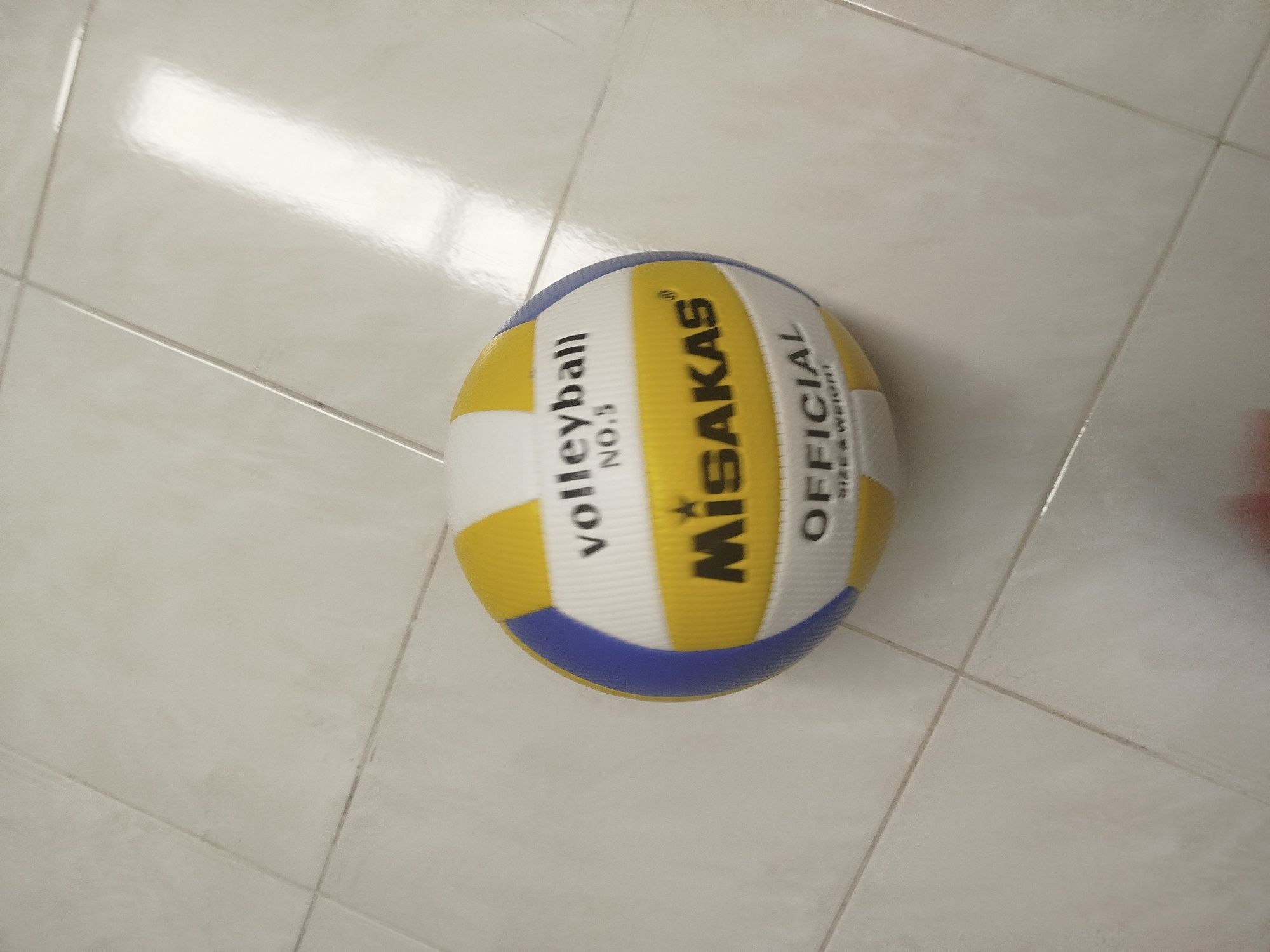 Bola de voleibol