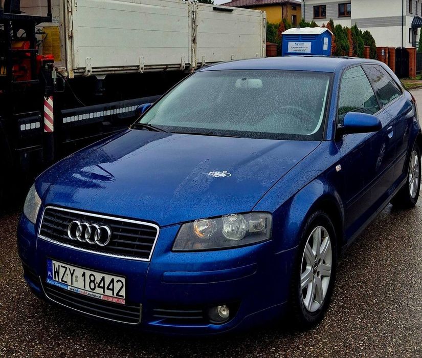 Audi A3 1.6 MPI Gaz Klima Manual Bdb Stan