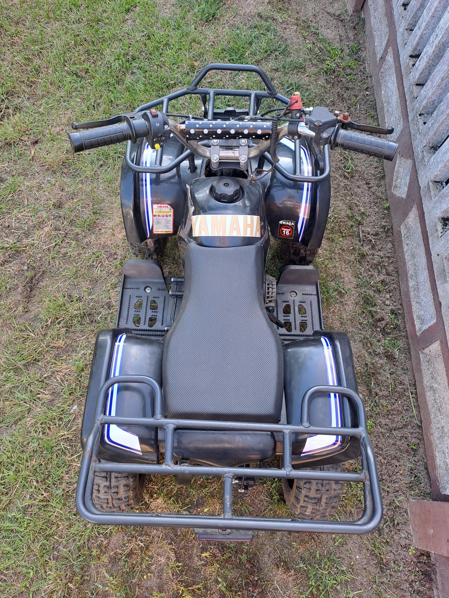 Mini quad pocket bike
