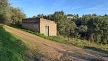 Quinta 14.840 m2 com pequena casa - S. Miguel - Abrantes