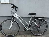 Rower Pegasus PRemio SL 28" trekkingowy crossowy męski damski
