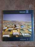 Виниловая пластинка Pink Floyd A Momentary Lapse of Reason