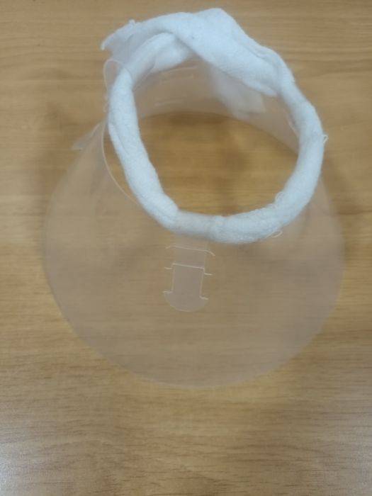 Colar isabelino para cães ou gatos