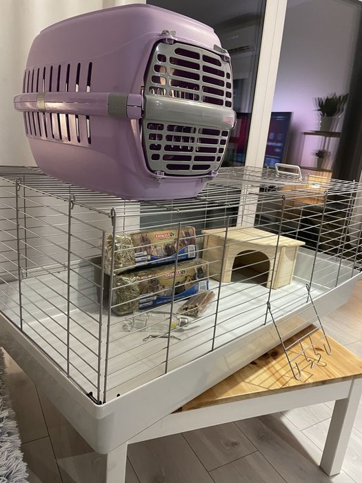 Zestaw dla świnki morskiej lub królika