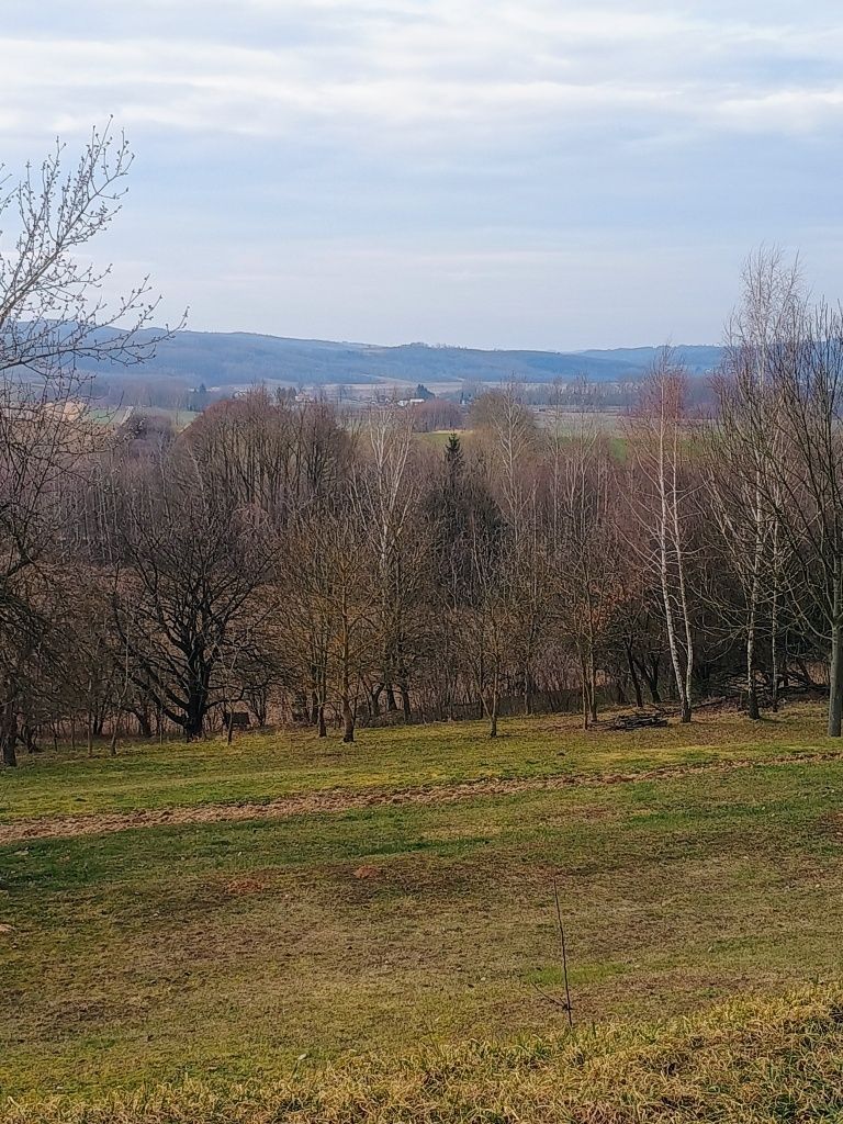 Działka zagrodowa Łopuszka Mała