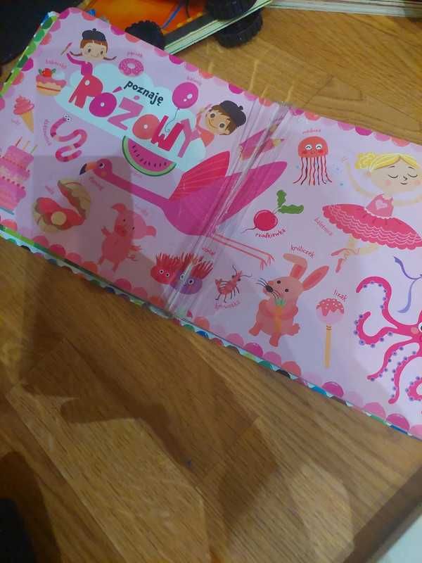 moja pierwsza książka o kolorach Eric carle, poznaję kolory