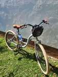 Bicicleta Pasteleira