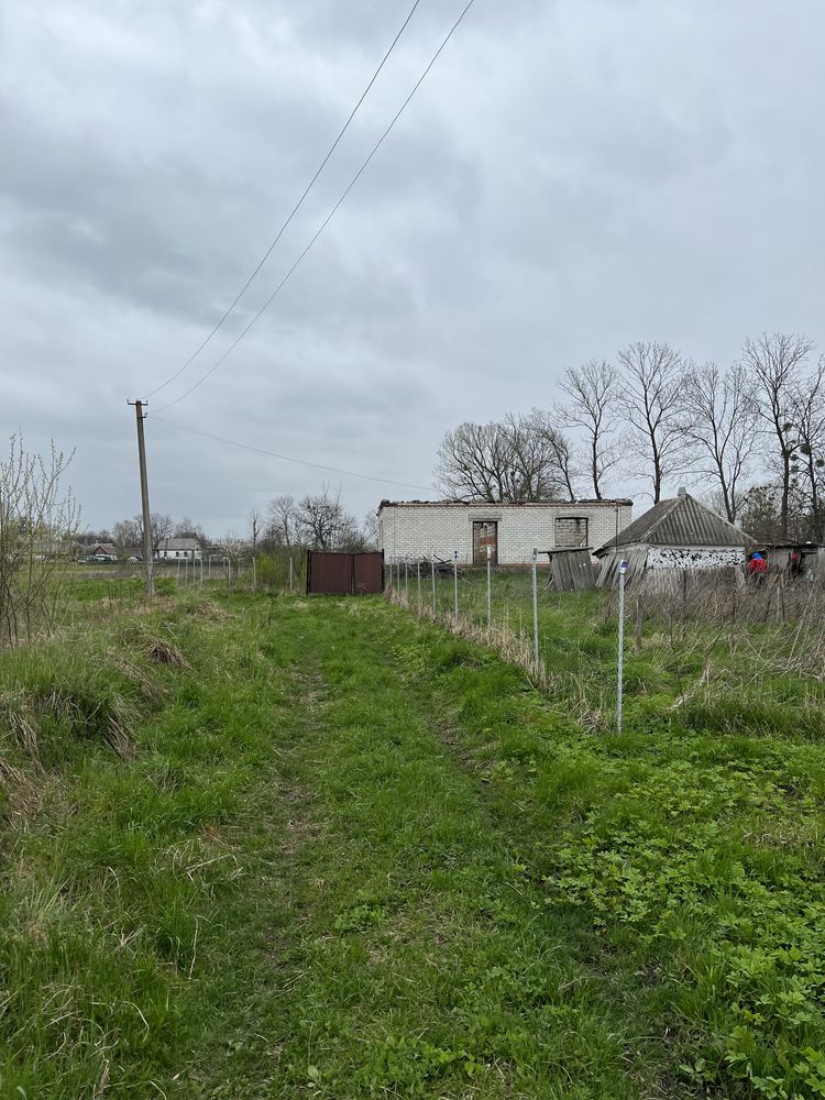 Продається домогосподарство в с. Сальник Хмільникського р-ну 0,31 га.